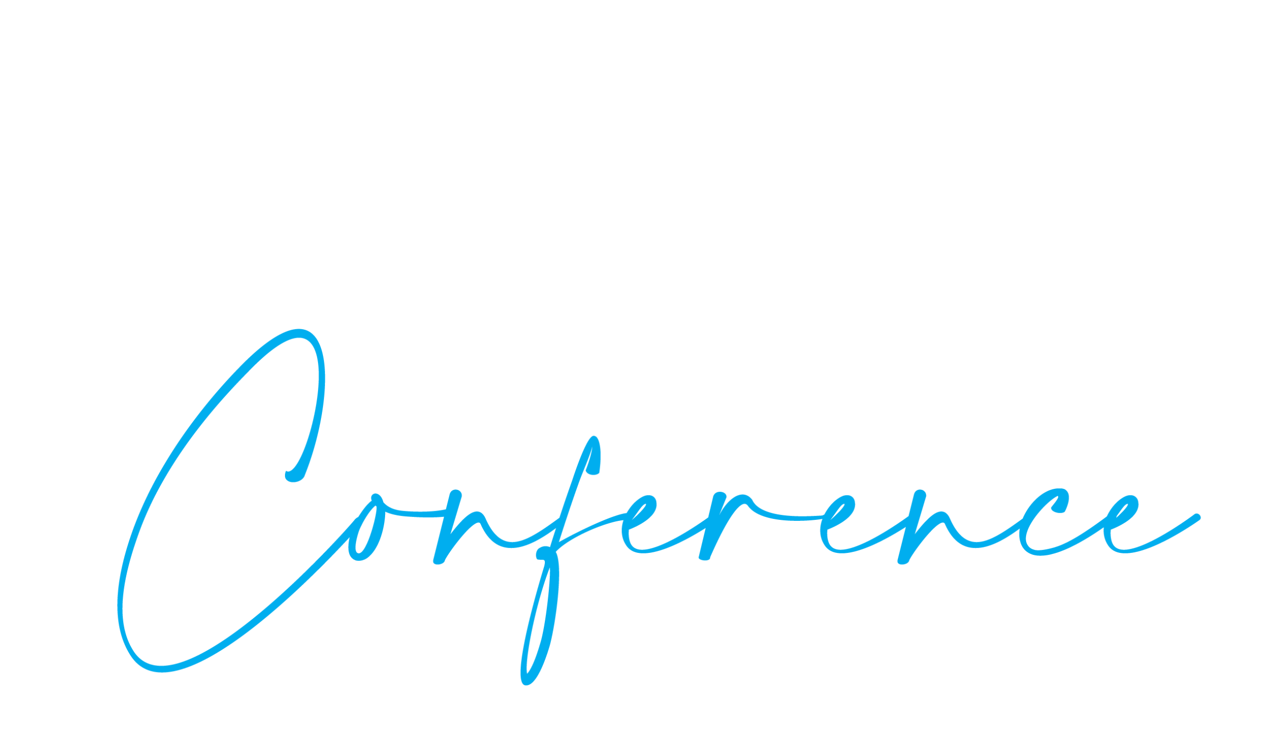 SEOST Digital Marketing Conference
